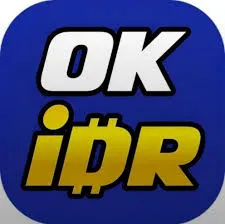 OKIDR - Petualangan Seru yang Tak Terlupakan